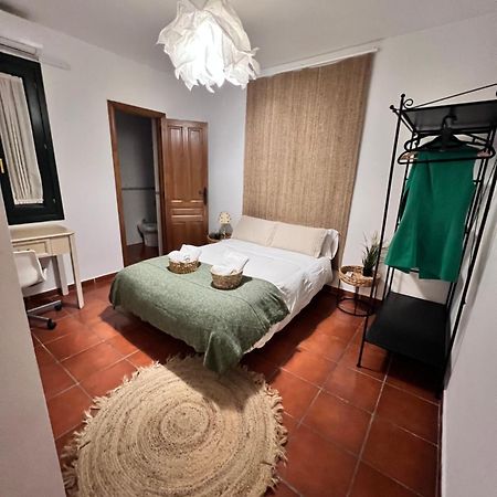 Apartamento La Rana セビリア エクステリア 写真