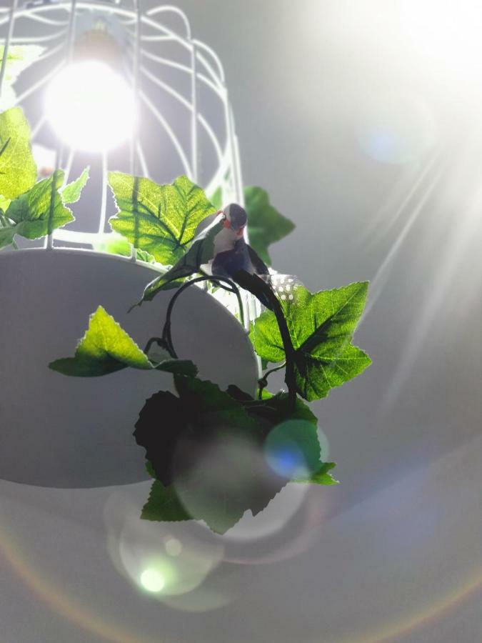 Apartamento La Rana セビリア エクステリア 写真