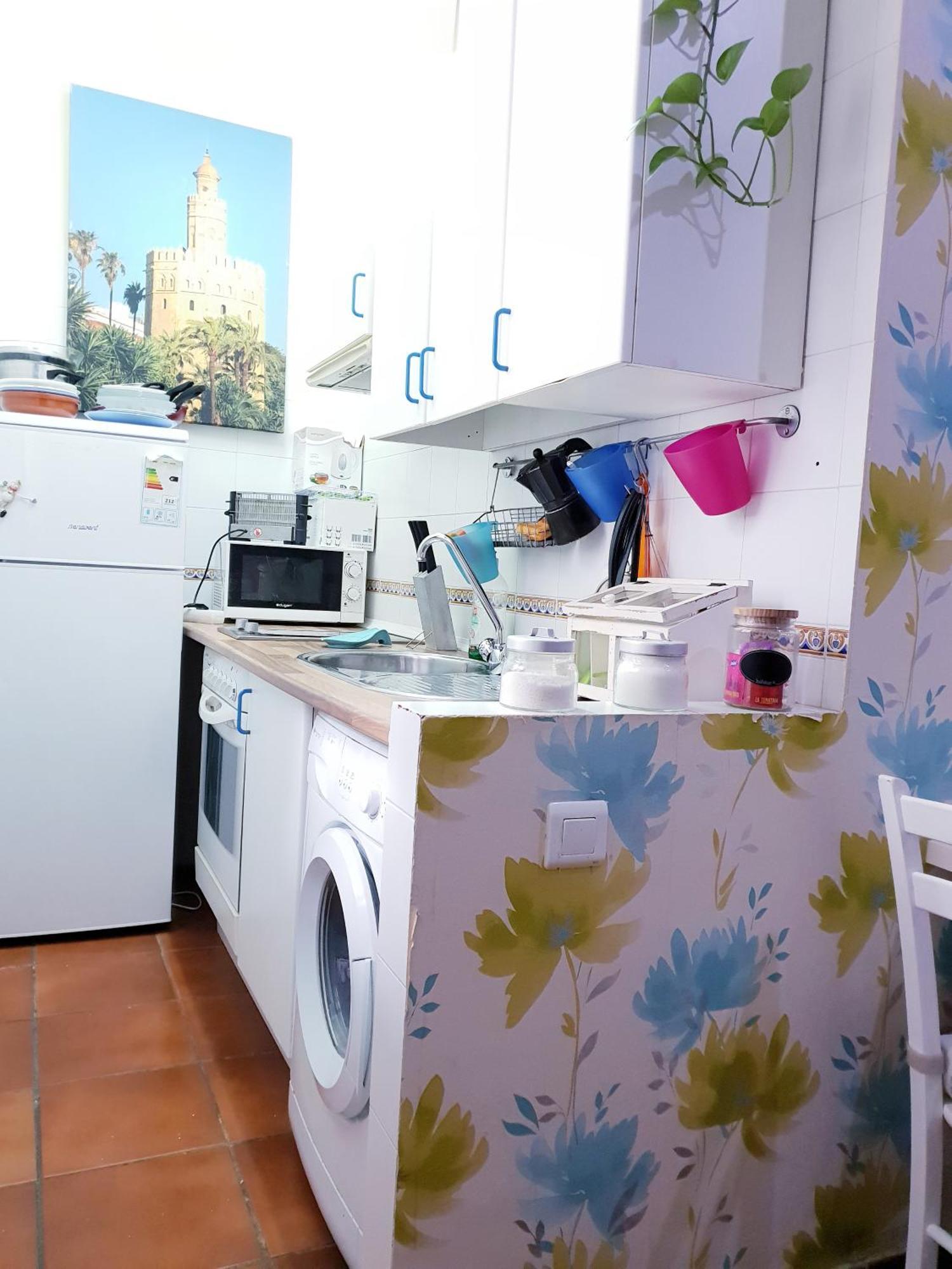 Apartamento La Rana セビリア エクステリア 写真